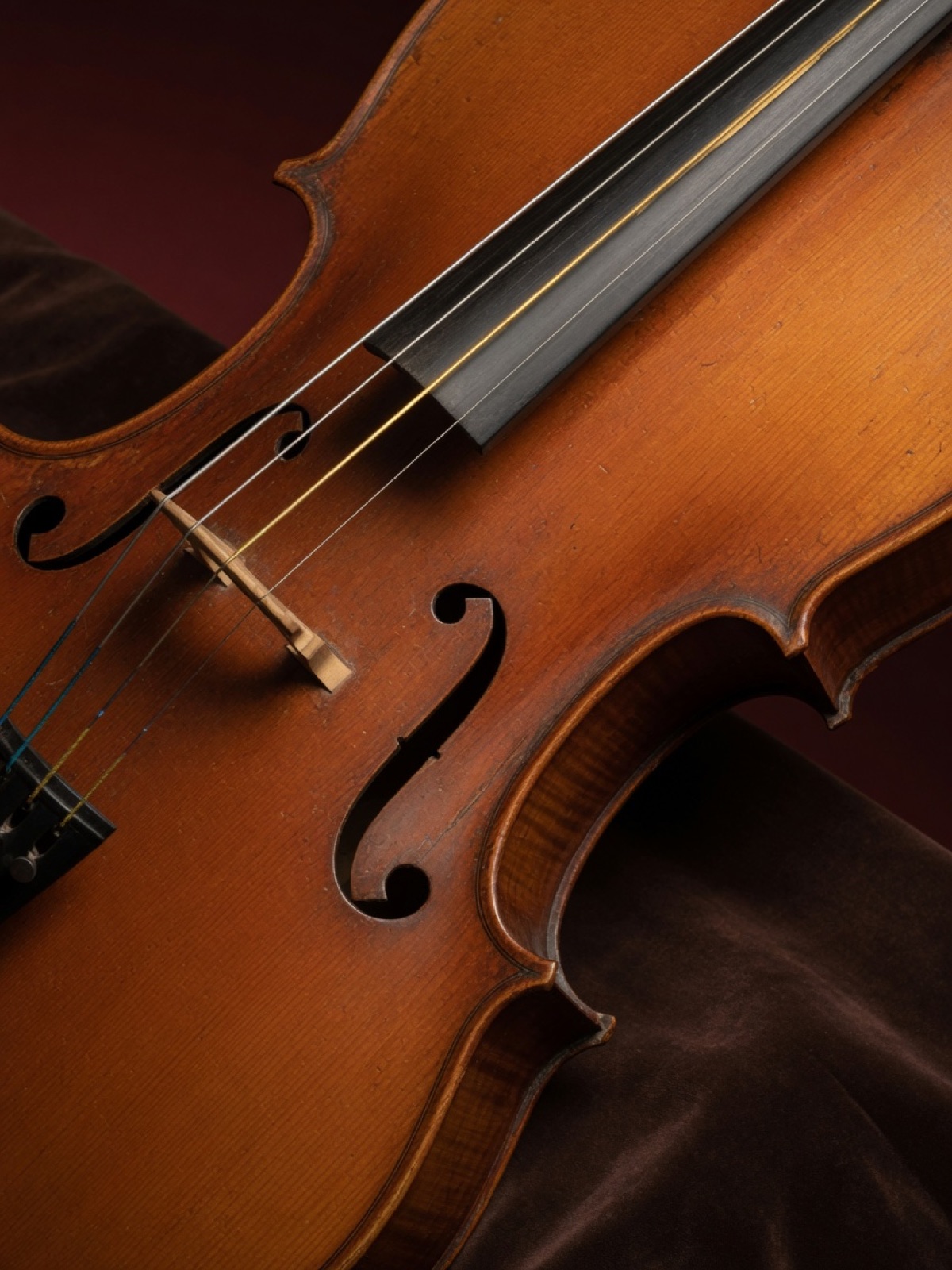 Close view of a cello’s f-holes and amber varnish